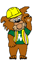 Wildcat in Safety Gear